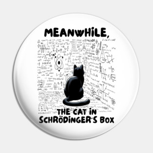Quantum Physics Teacher Meanwhile Cat In Schrodinger's Box Pin
