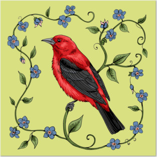 Scarlet Tanager with Forget-Me-Nots Posters and Art