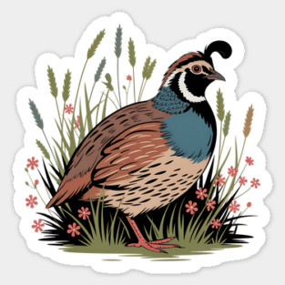 Wildflower Quail in Prairie Grass for Nature Fans Magnet