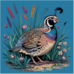 Vibrant Quail in Wild Meadow for Nature Lovers Posters and Art