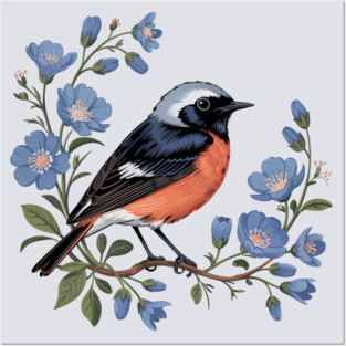 Common Redstart Bird with Wild Blue Flowers Posters and Art
