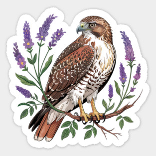 Vintage Red-Tailed Hawk Among Lavender and Wild Blooms Sticker
