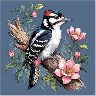 Vintage Downy Woodpecker on Blossoming Tree Branch Posters and Art
