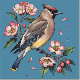 Vintage Cedar Waxwing with Deep Pink Spring Flowers Posters and Art