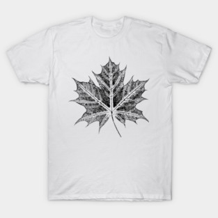 Maple Leaf - IMPRINT - Botanical T-Shirt