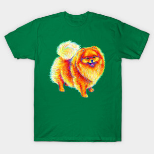 Rainbow Pomeranian Dog T-Shirt