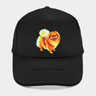 Rainbow Pomeranian Dog Hat