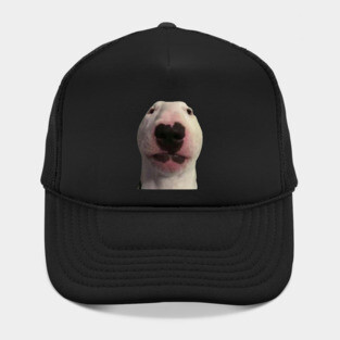 Staring Forward Dog Meme Hat