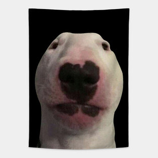 Staring Forward Dog Meme Tapestry