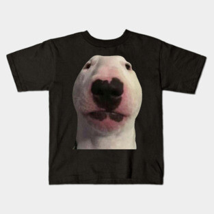 Staring Forward Dog Meme Kids T-Shirt