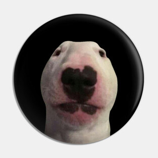 Staring Forward Dog Meme Pin