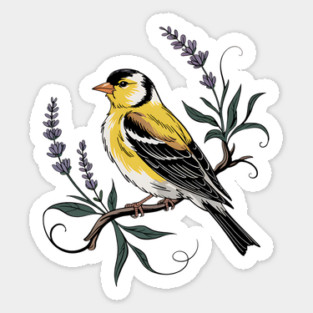 Vintage Goldfinch Perched with Lavender Blooms Sticker