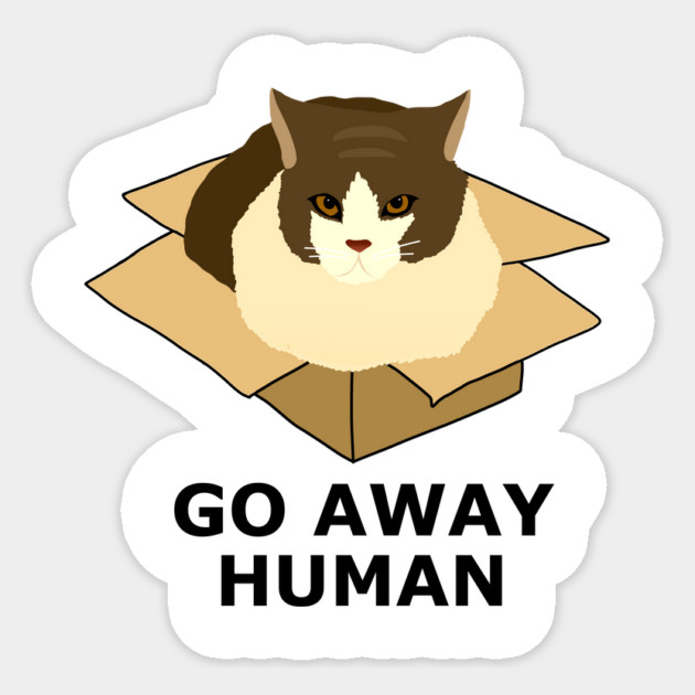 Go Away Human Funny Cat in a Box Sticker by logiamerch