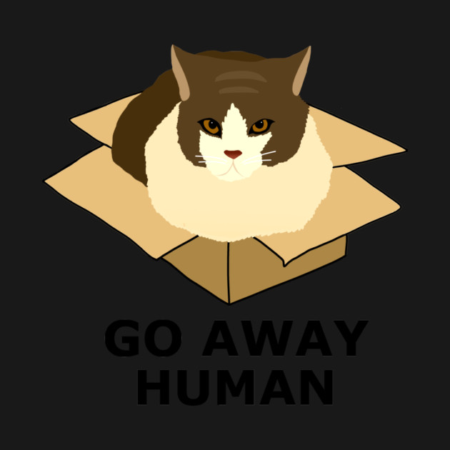 Go Away Human Funny Cat in a Box by logiamerch