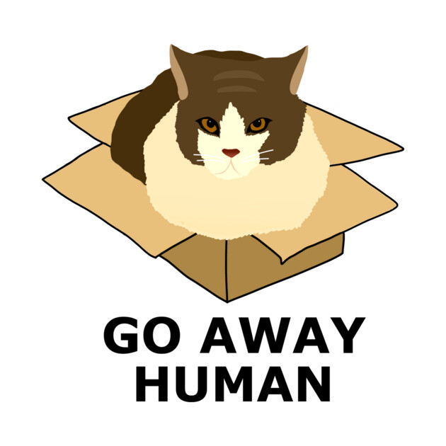 Go Away Human Funny Cat in a Box by logiamerch