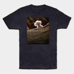 THE SILENCE OF THE LAMBS DOG PRECIOUS T-Shirt