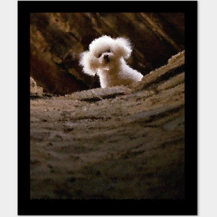 THE SILENCE OF THE LAMBS DOG PRECIOUS Posters and Art