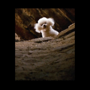 THE SILENCE OF THE LAMBS DOG PRECIOUS Tapestry