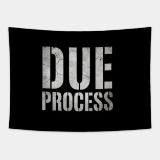 Due-Process Tapestry