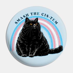 Smash The Cis-tem Cat Pin