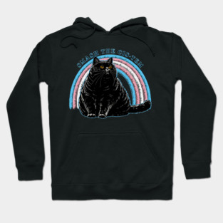 Smash The Cis-tem Cat Hoodie