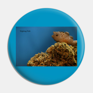 Tropic Thunder Fish - Weed Design Pin