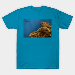 Tropic Thunder Fish - Weed Design T-Shirt