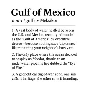 Gulf of mexico definition design T-Shirt