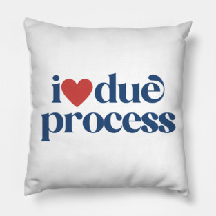I love due process, pro immigration, deport fascists Pillow