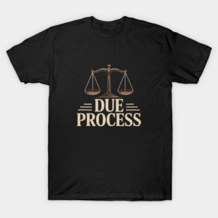 Due Process For All Civil Rights Legal Equality T-Shirt