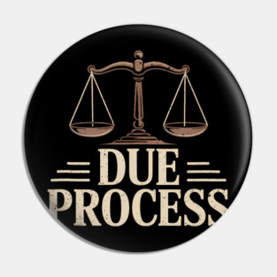 Due Process For All Civil Rights Legal Equality Pin