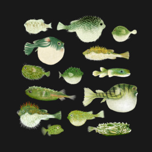 Puffer Fish T-Shirt