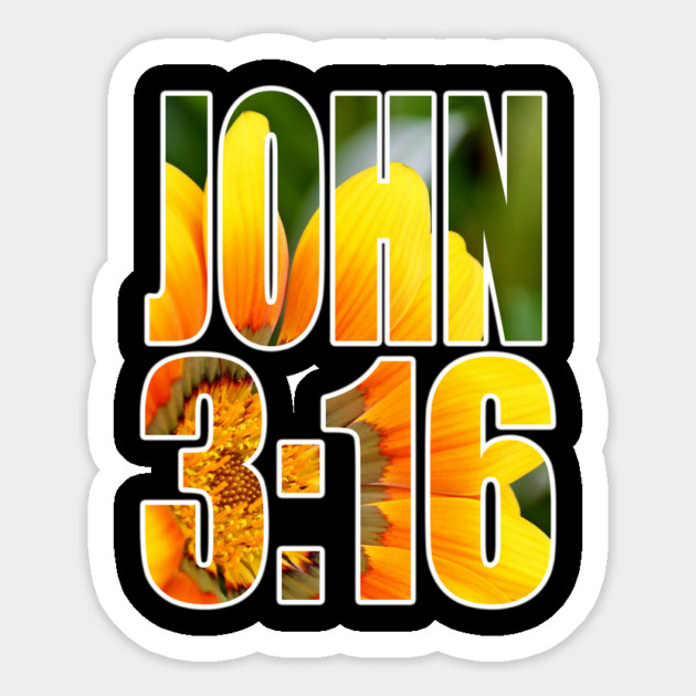 John 3 16 Christian Salvation Gift Magnet by Douglas's Store 3