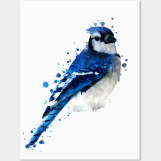 Dramabite Watercolor blue jay bird artistic animal painting Posters and Art