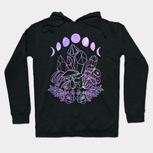 Moon Phases Crystals Mushrooms Succulents Witchy Hoodie
