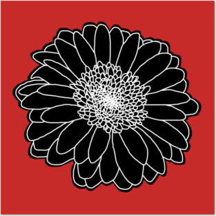 Black and White Daisy Flower Nature Drawing Posters and Art