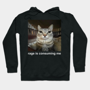 Rage Is Consuming Me - Funny Staring Cat Meme, Funny gift Idea for Cat Lovers, for Birthday, Christmas or any Occasion, Anniversary, Mother's Day, Father's Day, for Man, Women Kids, Mom, Dad, Daughter, Son, Hoodie