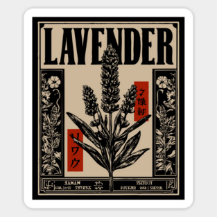 Lavender Plant Botanical Illustration in Vintage Apothecary Style Sticker