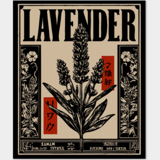 Lavender Plant Botanical Illustration in Vintage Apothecary Style Posters and Art