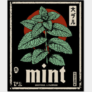 Mint Plant Vintage Botanical Illustration in Herbal Poster Style Posters and Art