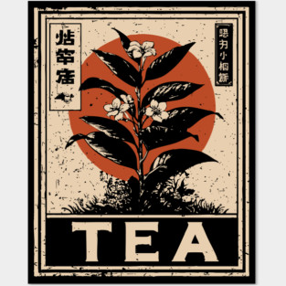 Tea Plant Botanical Poster in Vintage Apothecary Style Posters and Art