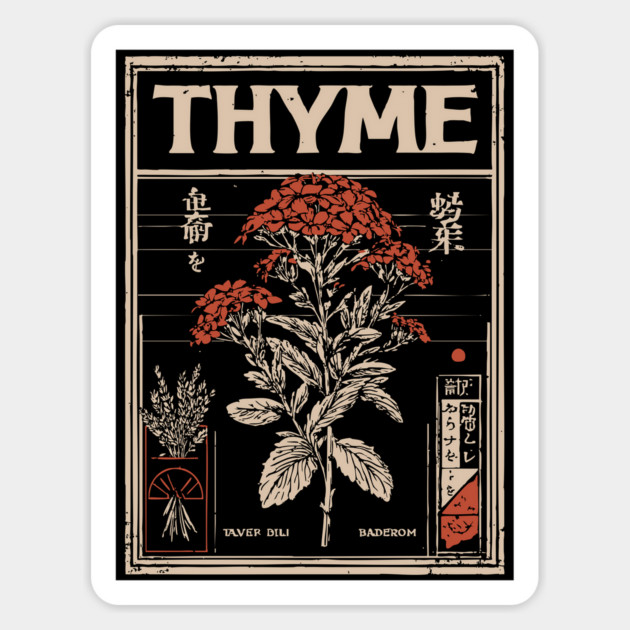 Thyme Plant Botanical Poster with Vintage Herbal Aesthetic Magnet by TuncGK