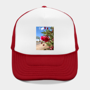 Roadside Flora Hat