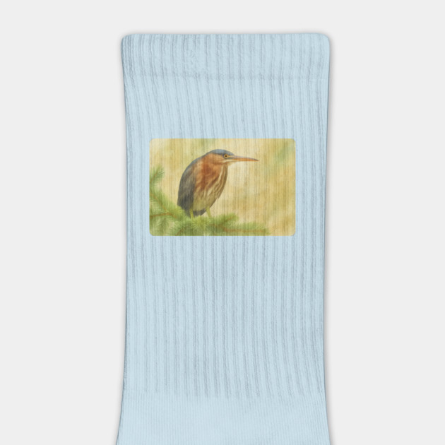 Green Heron by DonWillisJrArt