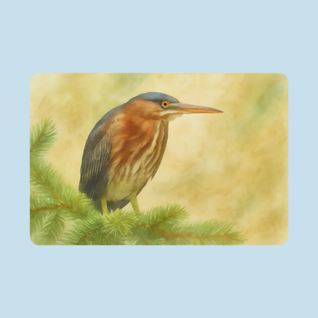 Green Heron by DonWillisJrArt