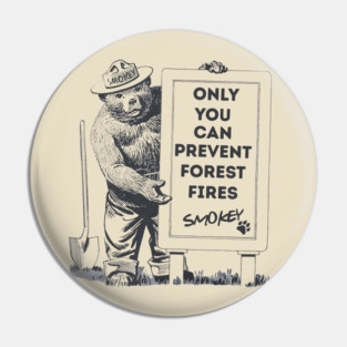 Smokey Bear, only you can prevent forest fires Pin