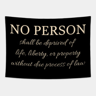 5th AMENDMENT, Due Process Anti MAGA FDT, Democrat Protest, Progressive Liberal, Constitution Bill of Rights Tapestry
