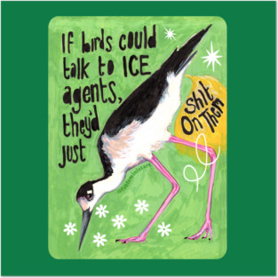 If birds could talk to ICE agents they'd just sh*t on them Posters and Art