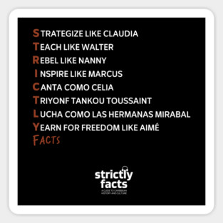 Strictly Facts Podcast Magnet