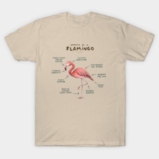 Anatomy of a Flamingo T-Shirt